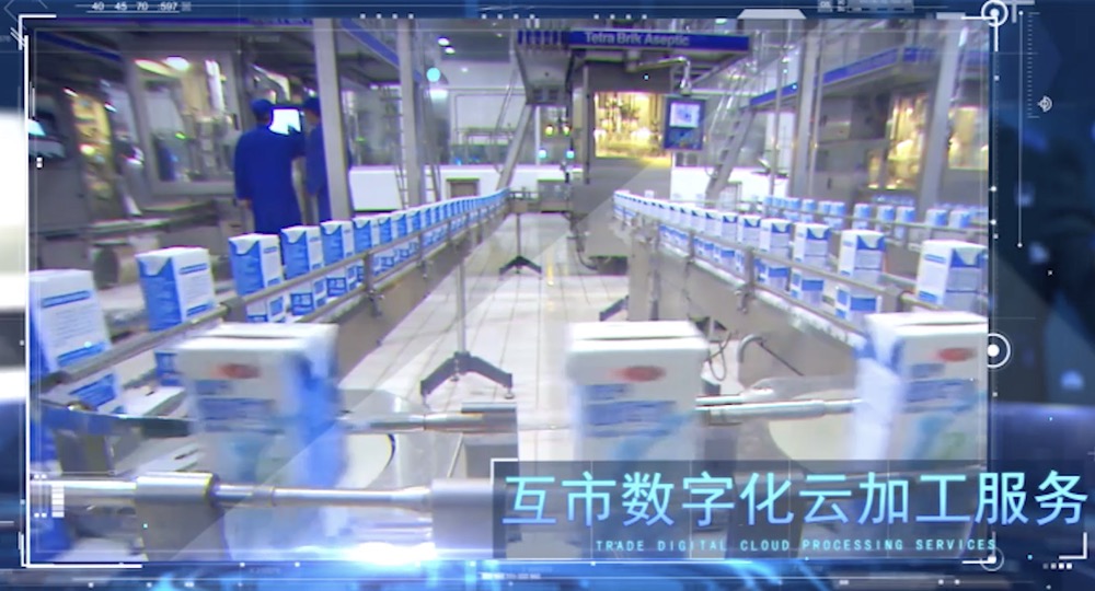 邊民互市落地加工生產系統